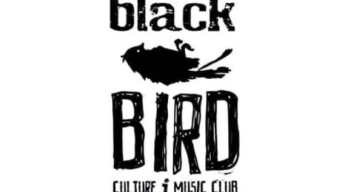 Black Bird
